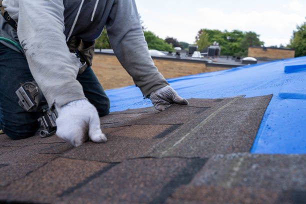 Best New Roof Installation  in Woodbine, NJ