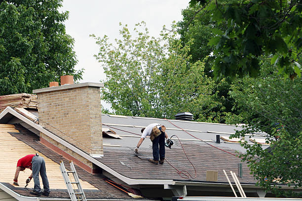 Best Roof Restoration Services  in Woodbine, NJ